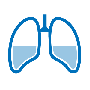 Lungenvolumen - Nitrogen Washout